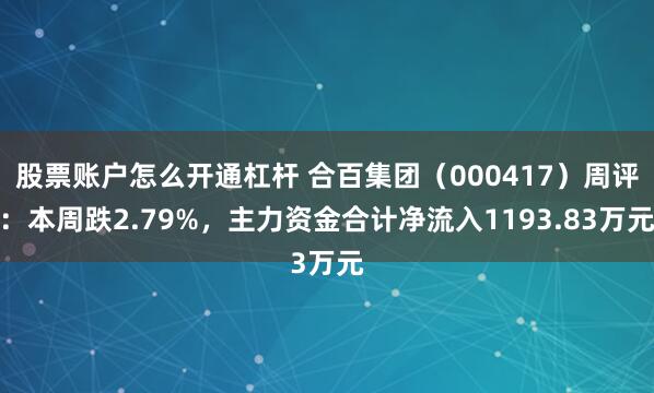股票账户怎么开通杠杆 合百集团（000417）周评：本周跌2.79%，主力资金合计净流入1193.83万元
