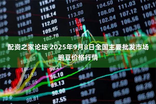 配资之家论坛 2025年9月8日全国主要批发市场豌豆价格行情